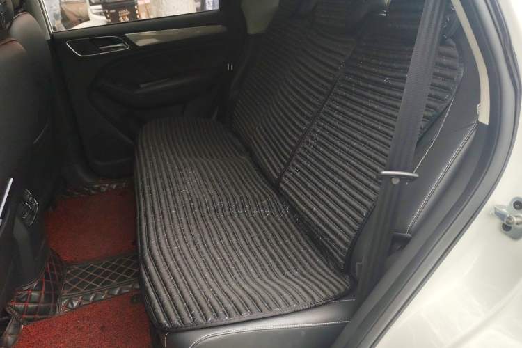 Used Roewe RX5 2016 20T Two-Wheel Drive Automatic Internet Smart Edition Left Rear Seat