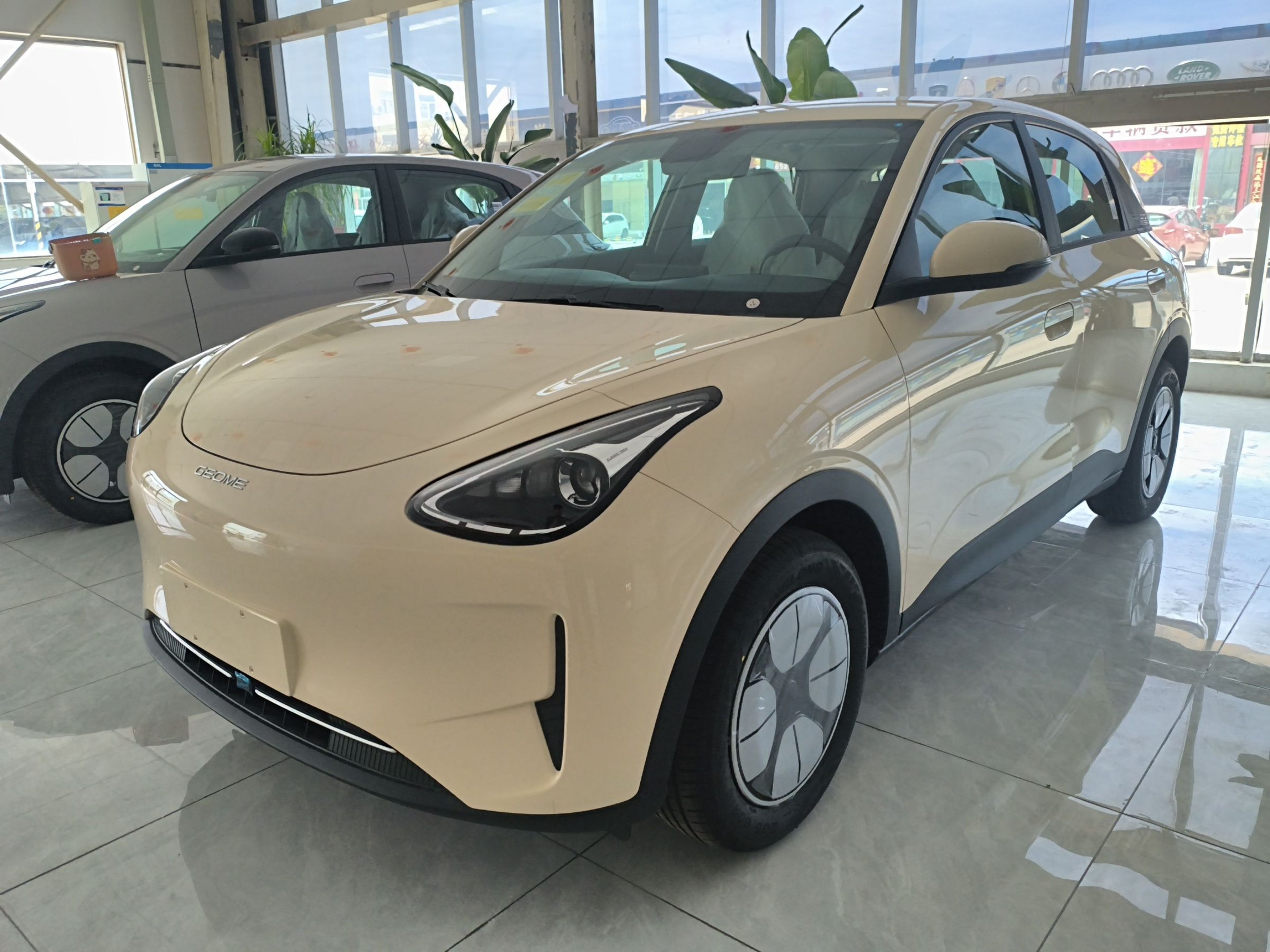 Parte inferior delantera