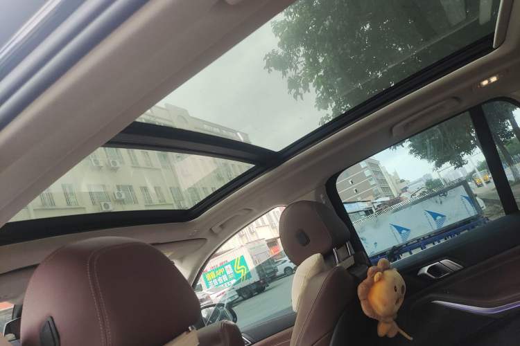 Used BMW X5 2020 xDrive30i M Sport Package Headliner