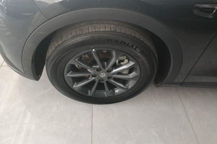 Used Leapmotor C11 2023 Pure Electric 500 Comfort Edition