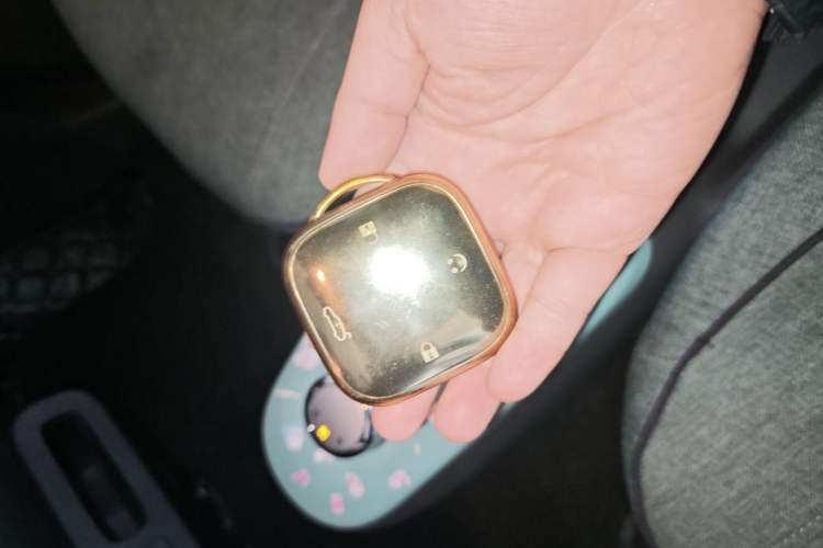 Used Qiyuan Lumin 2022 210km Sweet Edition