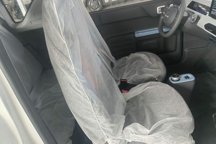 Used Geely Galaxy Panda 2024 Panda Mini 200km Endurance Bear
