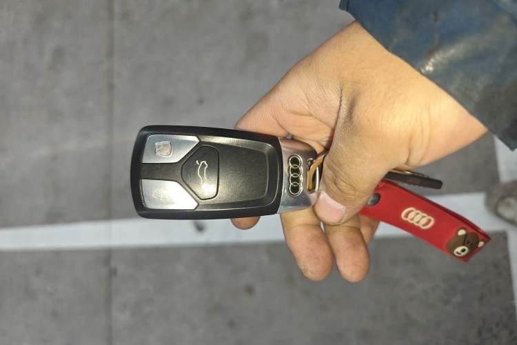 Used Audi A5 2017 Coupe 40 TFSI Fashion Model
