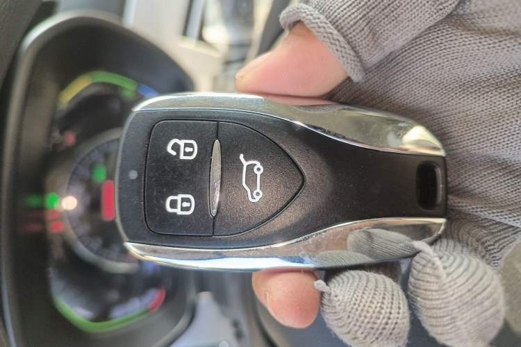 Used Dayun Yuehu 2023 300 Standard Edition
