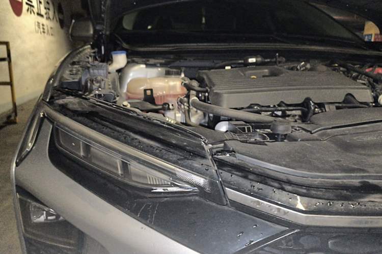 Used Ford EVOS 2022 EcoBoost 245 Style Edition
