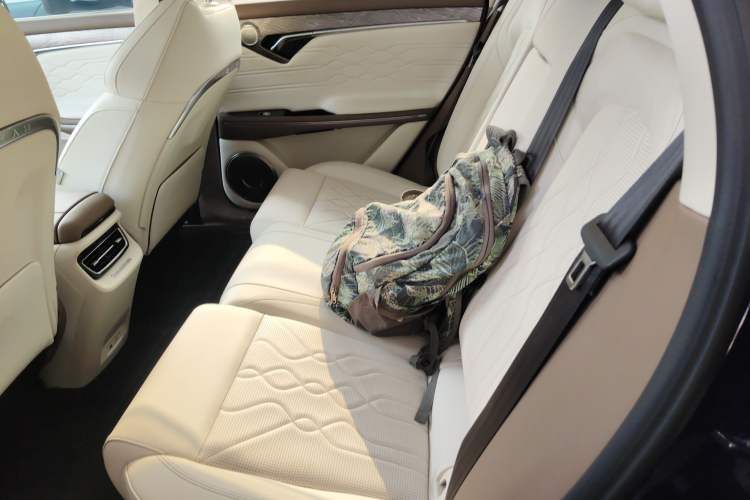 Used VOYAH FREE 2021 Four-Wheel Drive Standard Range-Extended Exclusive Luxury Package Interior 4