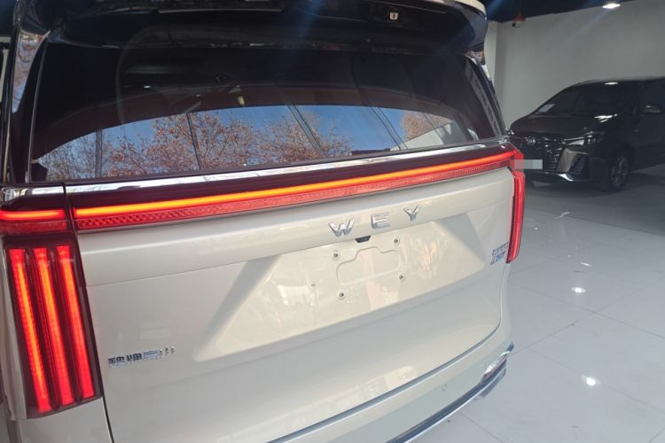 Used Wey Gaoshan 2023 Four-Wheel Drive Flagship Edition