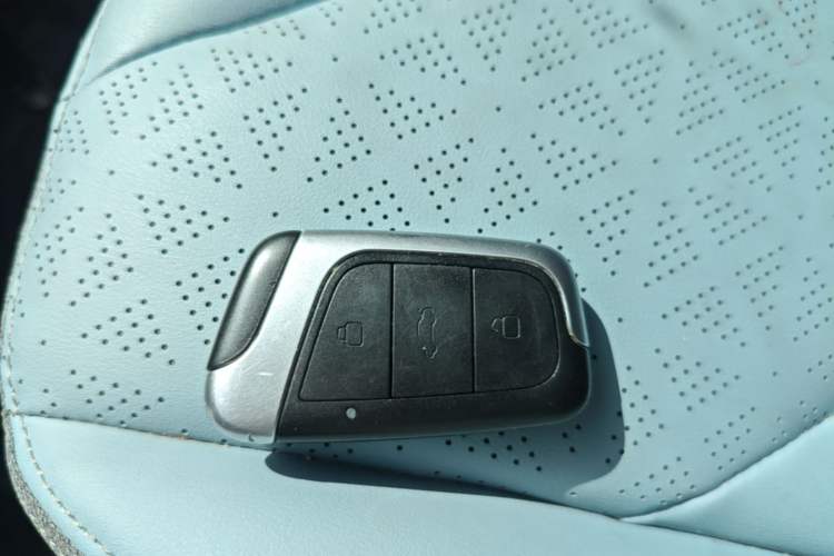 Used Chery Little Ant 2024 251km True Love Edition