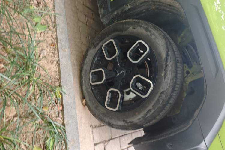 Used Haval X DOG 2022 1.5T DCT Four-Wheel Drive Trendy Wild Edition
