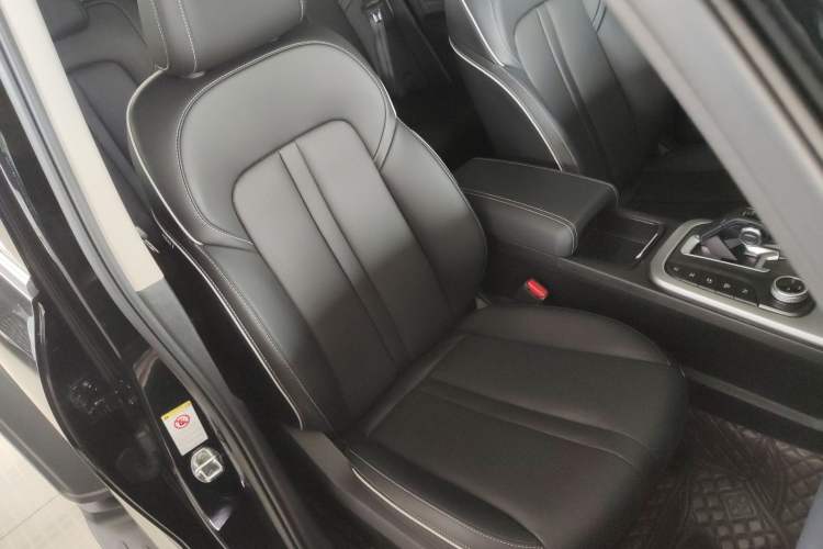 Used Tank 300 2024 2.0T Conqueror