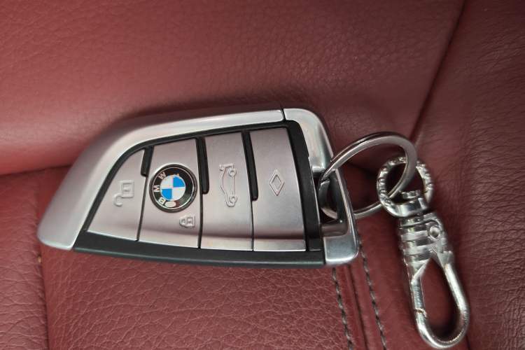 Used BMW 5 Series 2019 530Li Leading Model M Sport Package
