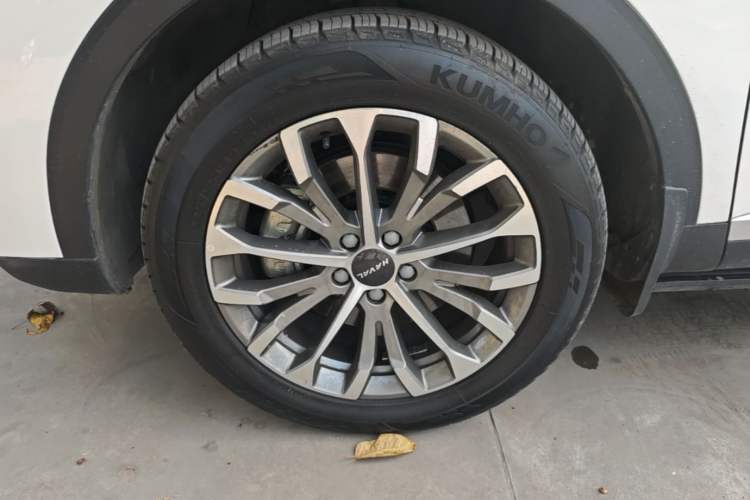 Used Haval H6 2020 1.5 GDIT Automatic Platinum Champion Edition

