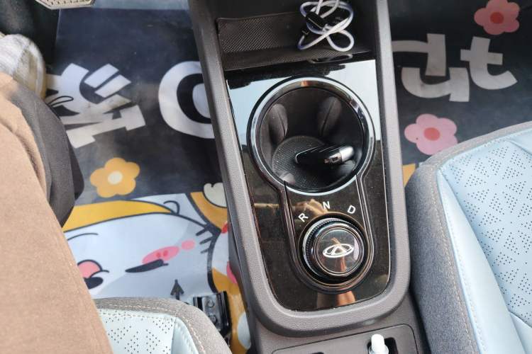 Used Chery QQ Little Ant 2024 Revised Edition Youth Version 251 km True Love Edition 23.99 kWh Gear Lever