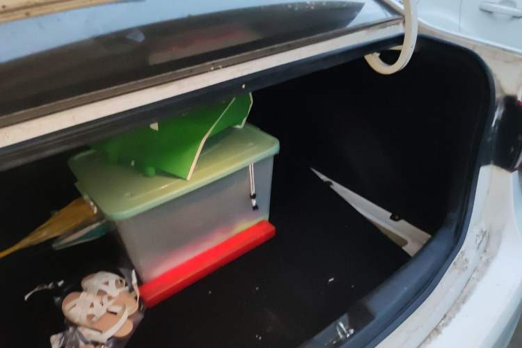 Used Kia Forte 2014 1.6L AT GL Trunk