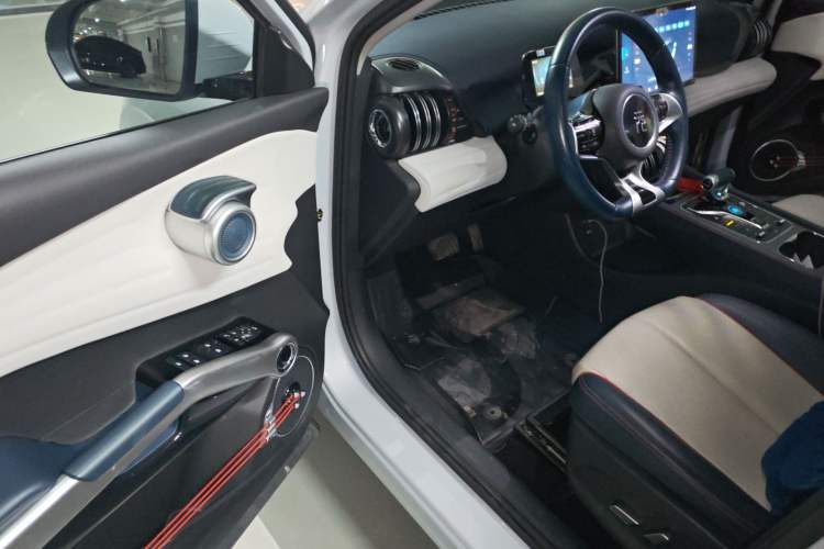 Used BYD Yuan PLUS 2022 510 km Flagship Version