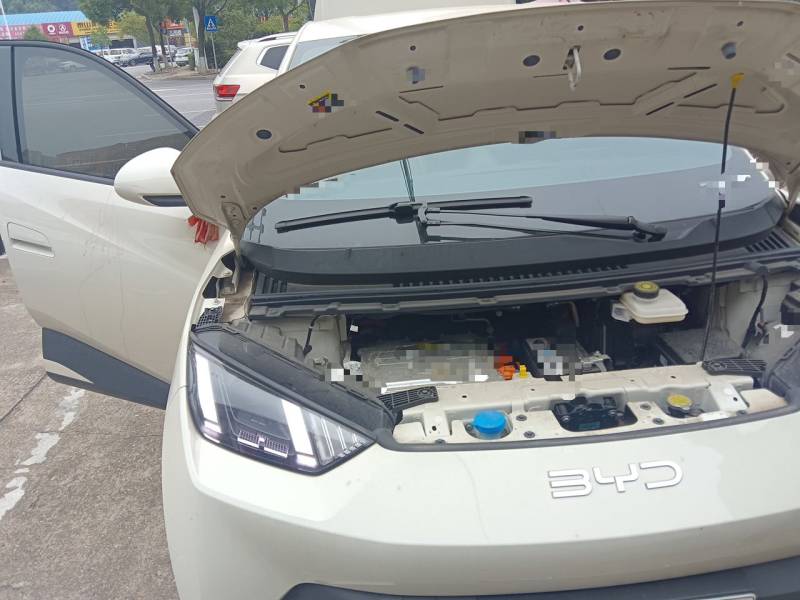 Used BYD Seagull 2025 305 km Free Version — 24