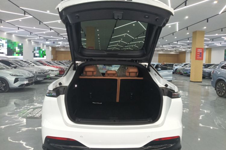 Used Rising R7 2025 Model Advanced Edition
