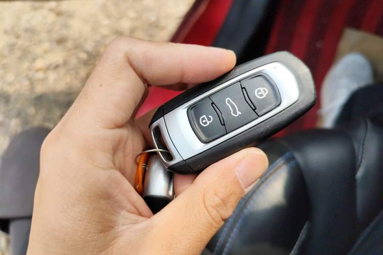 Used Livan Maple 30X 2020 Style Edition Interior 1