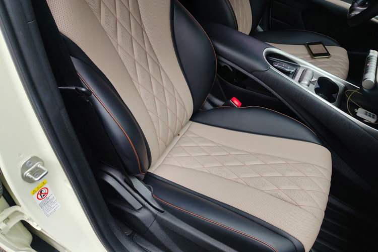 Used BYD Dolphin 2021 405 km Fashion Edition Right Front Seat