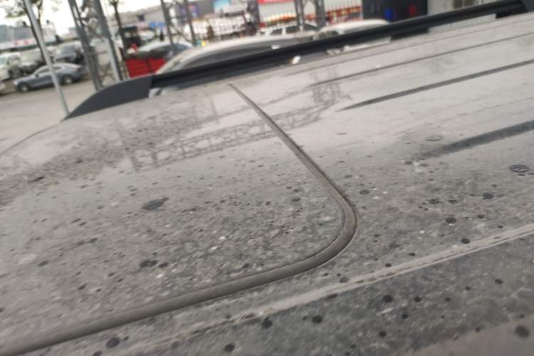 Used Tank 300 New Energy 2025 Hi4-T Roof