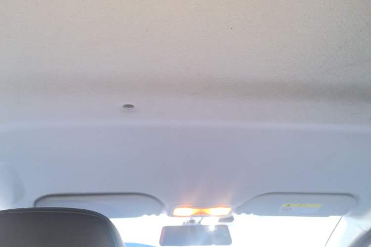 Used SOL E10X 2022 Flower Fairy Style Baby's Breath