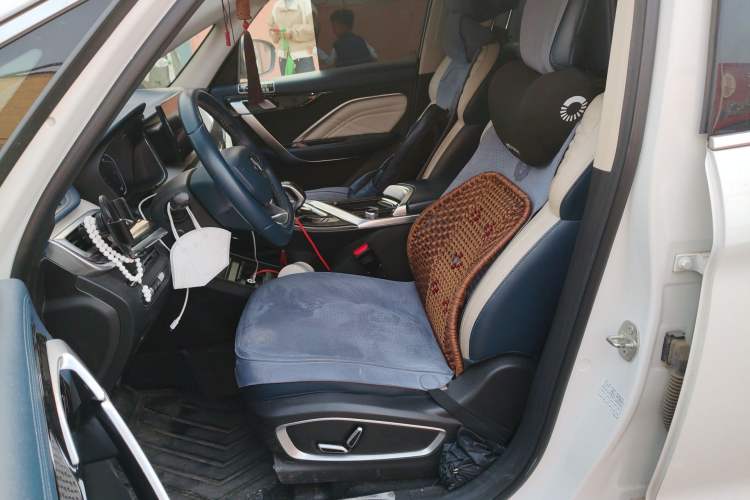 Used Livan Maple 80v PRO 2022 Comfort Model Long-Range Version