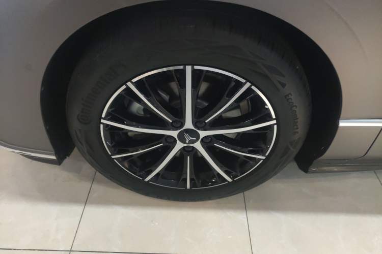 Used VOYAH PASSION 2024 PHEV Four-Wheel Drive Ultra-Long Range Executive Edition Exterior 4