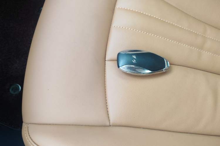 Used Hongqi HQ9 2023 2.0T Smart Connect Flagship Edition