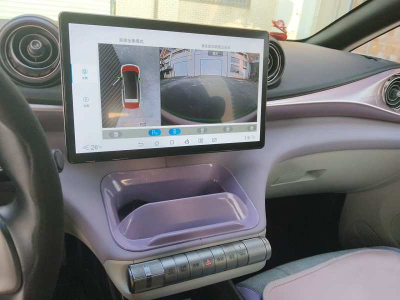Used BYD Dolphin 2021 405 km Free Version — 9