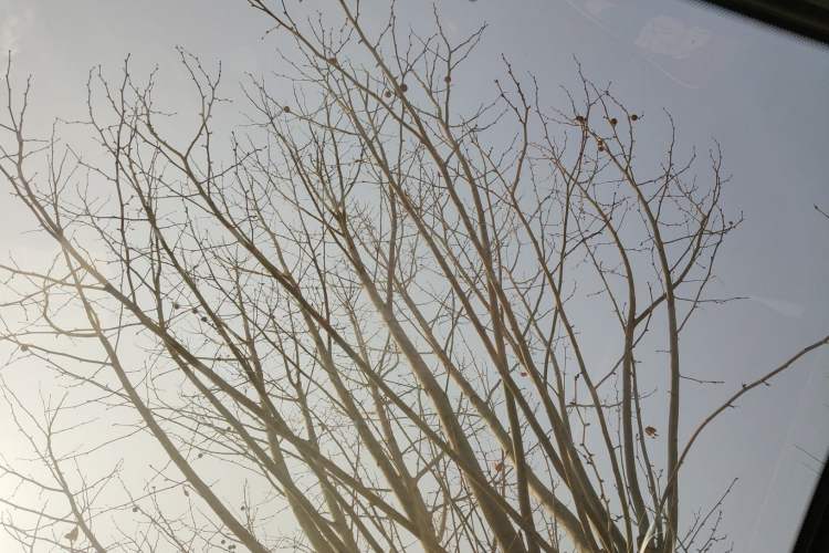 Used Mercedes-Benz B-Class 2015 B 200 Sport Edition