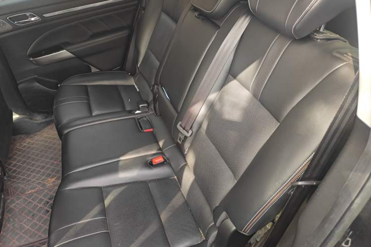 Used GAC Trumpchi GS8 2021 390T Two-Wheel-Drive Dark Knight Edition Left Rear Seat