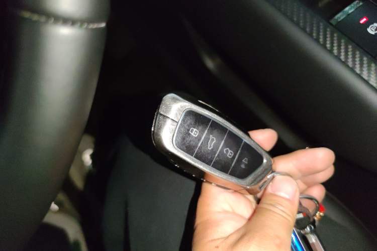 Used Haval H Dog 2023 2.0T Two-Wheel Drive Chaoye Version Plus