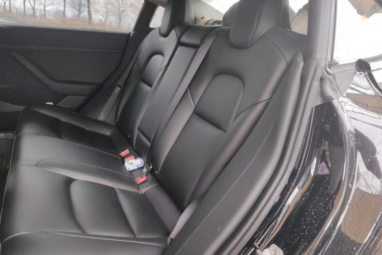 Used Tesla Model 3 2021 Standard Range Rear-Wheel Drive Upgraded Version 3D6
