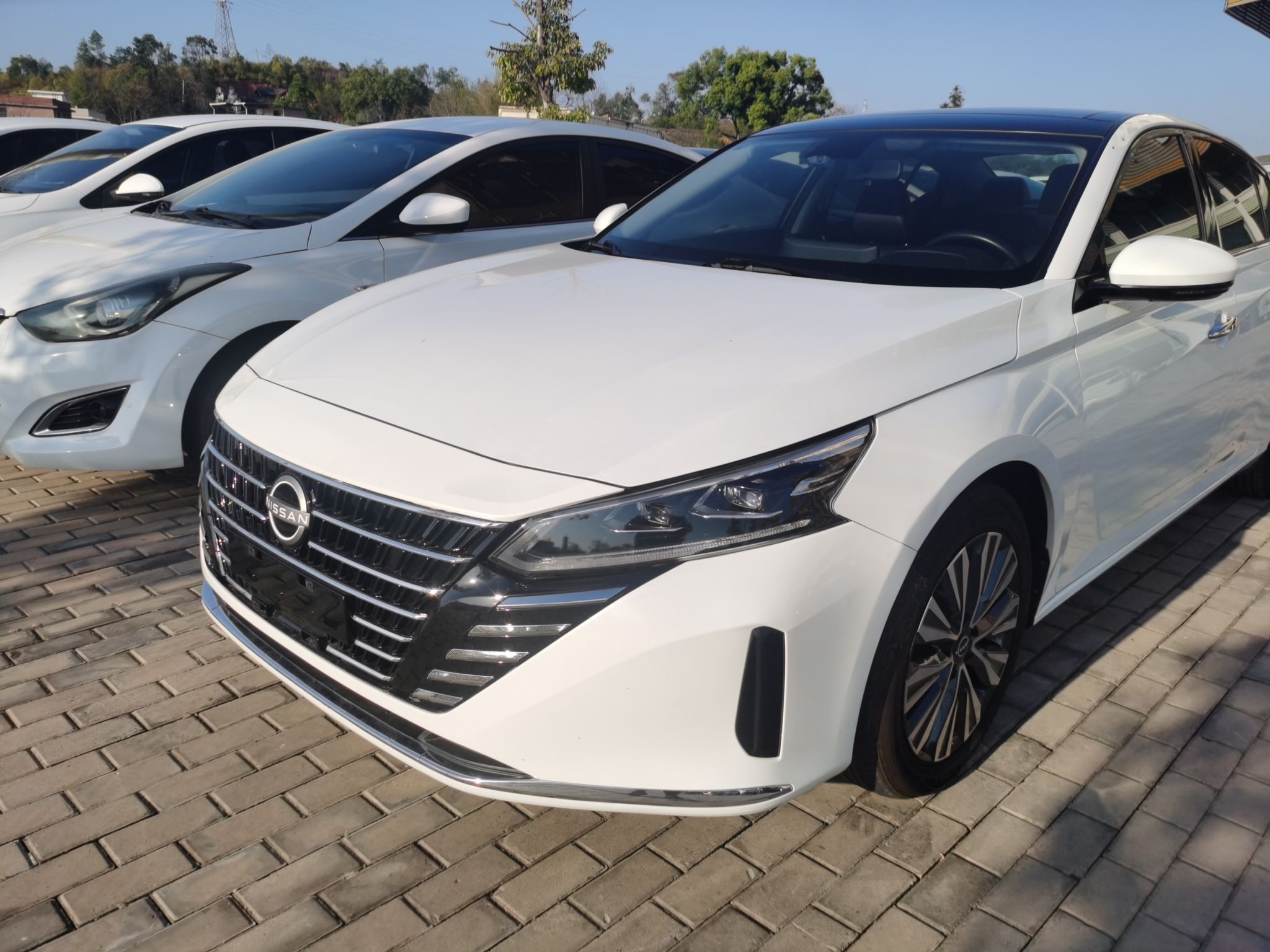 تحت مقدمة السيارة