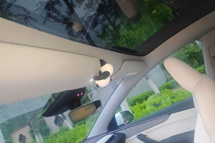 Used Tesla Model Y 2025 Rear-Wheel-Drive Version Headliner