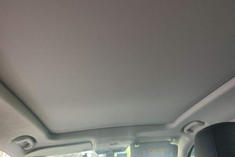 Used Buick Envision 2021 532T Two-Wheel-Drive Leading Version Headliner