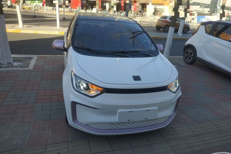 Used SOL E10X 2022 Flower Fairy Design Four-Leaf Clover

