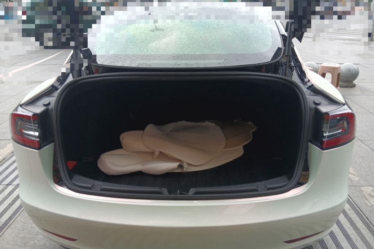 Used Tesla Model 3 2021 Standard Range Rear-Drive Upgraded Version