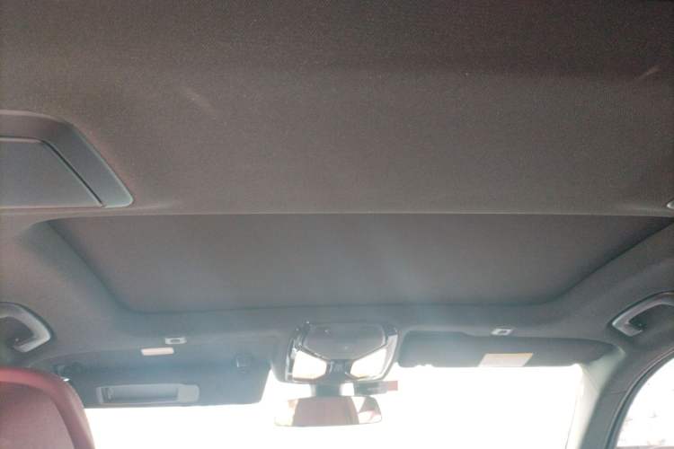 Used BMW 5 Series 2021 530Li Luxury Edition M Sport Package Headliner