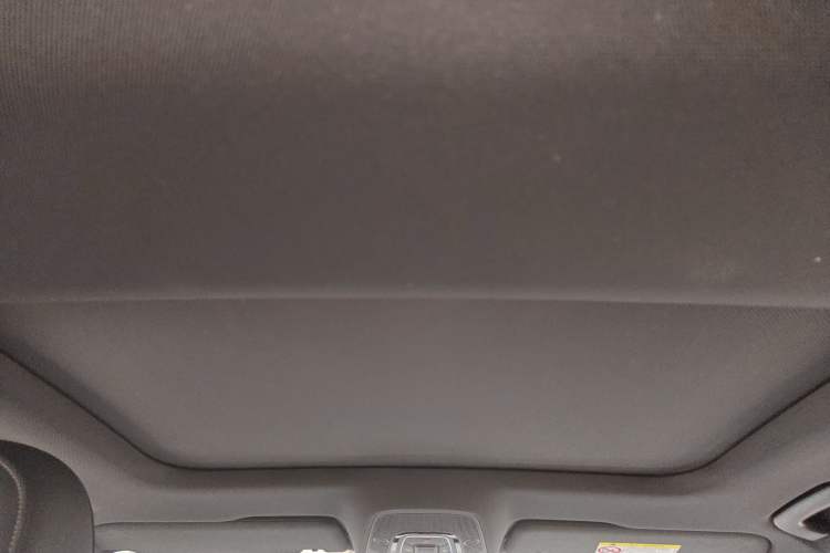 Used Audi A6L 2021 40 TFSI Luxury Dynamic Edition Headliner
