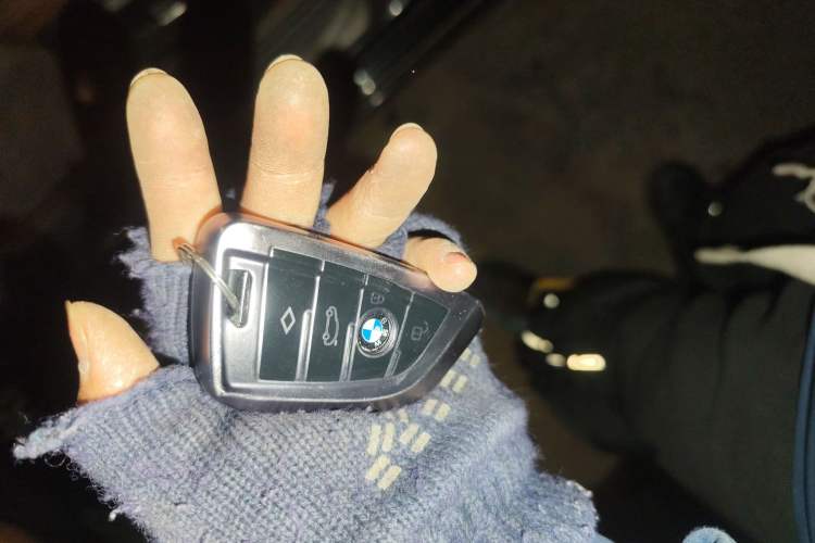 Used BMW 5 Series 2017 520Li Elegant Edition