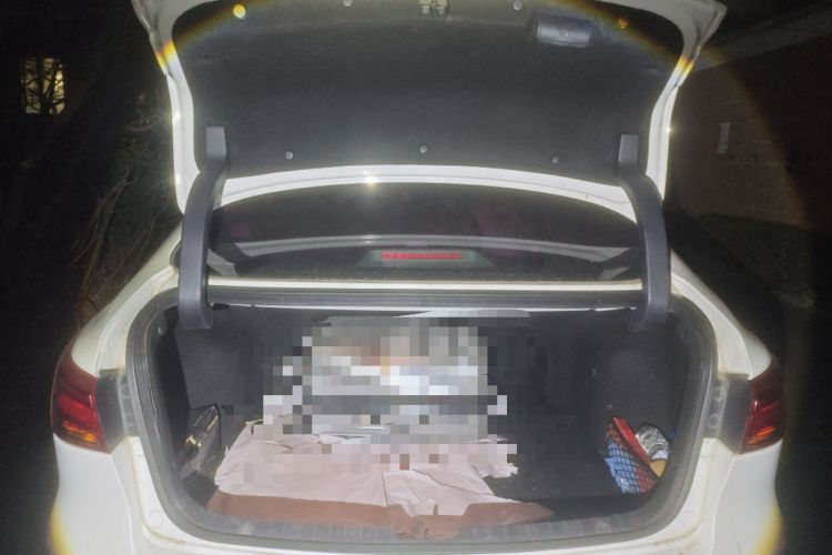 Used CHANGAN Raeton CC 2018 1.5T Automatic Zunya Model China V Standard