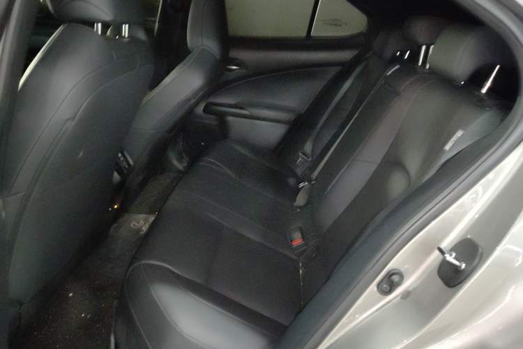 Used Lexus UX New Energy 2020 300e Pure·Joy Edition
