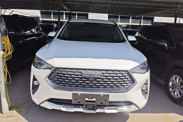 Used Haval F7 2020 2.0T Two-Wheel Drive i-Van
