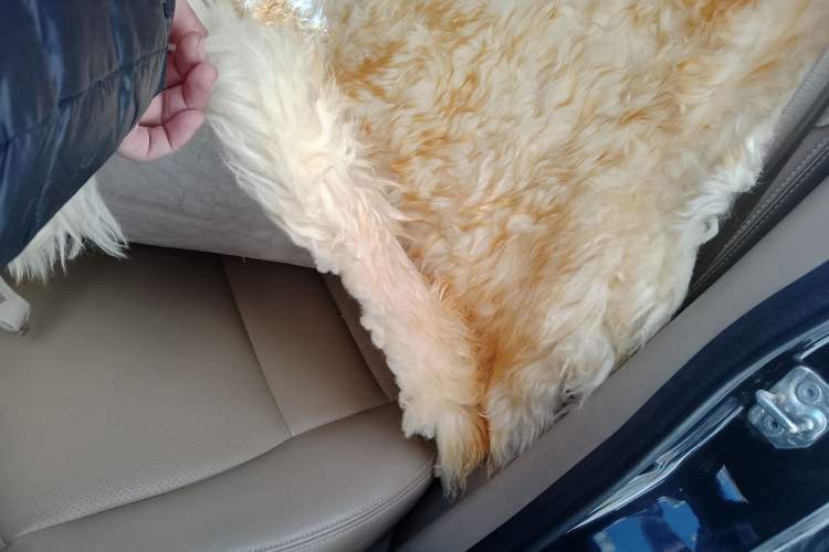 Used Haval H6 2012 1.5T Manual Two-Wheel Drive Urban Version