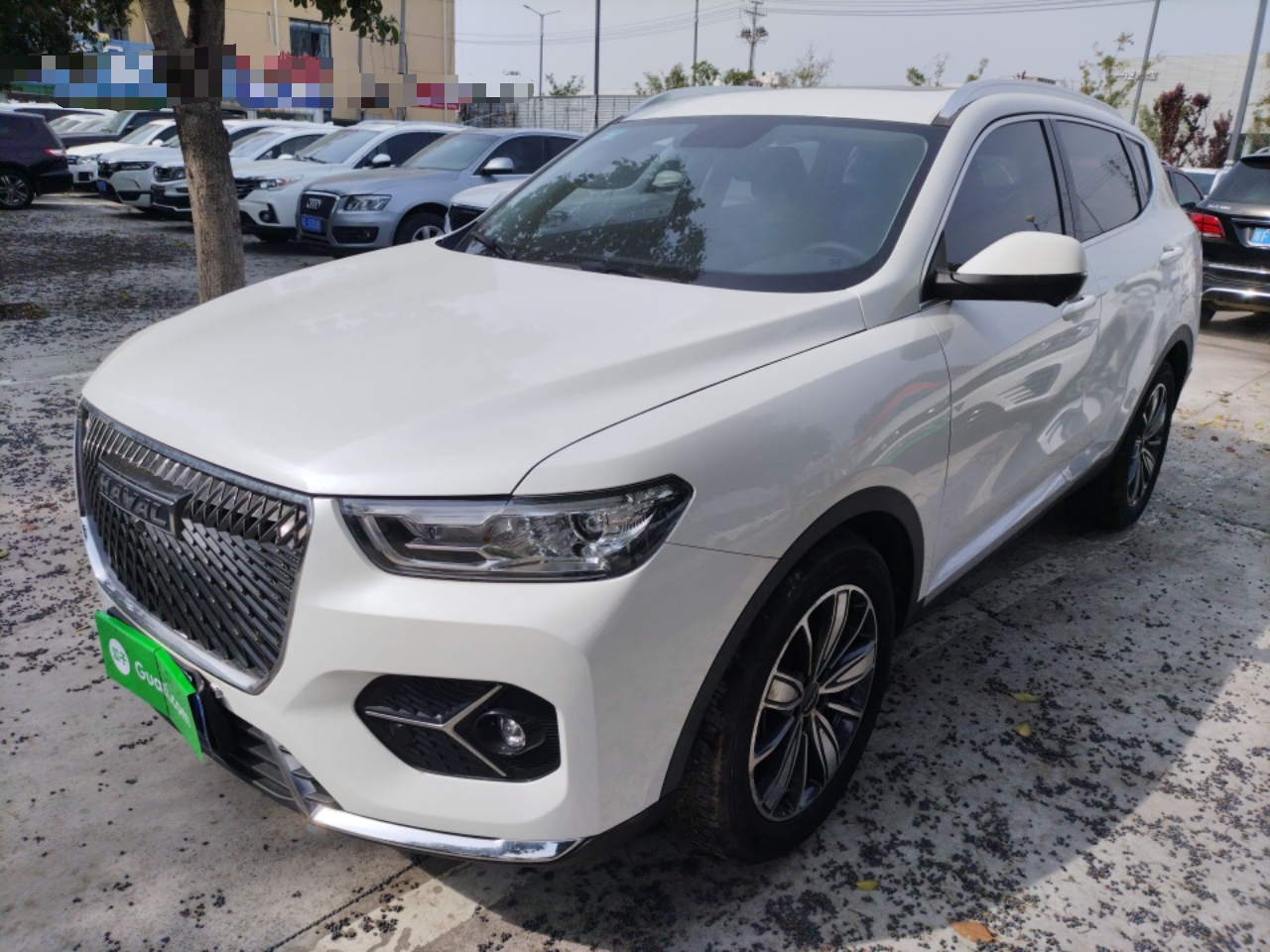 Parte inferior delantera