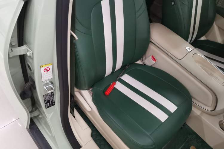 Used ORA Good Cat 2023 401 km Standard Range Luxury Version Lithium Iron Phosphate Right Front Seat