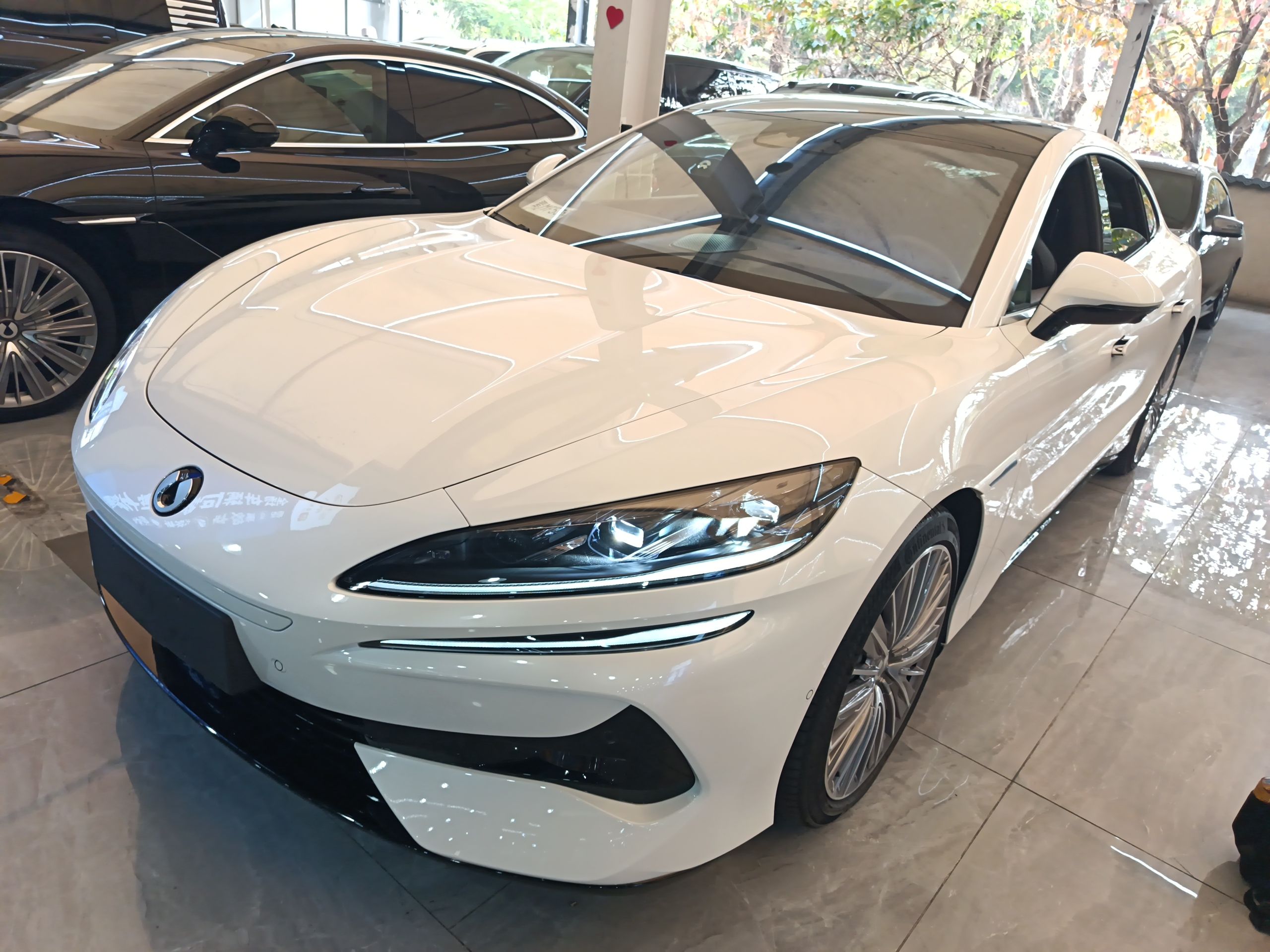 تحت مقدمة السيارة