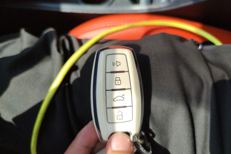 Used ORA White Cat 2020 305 km Luxury Version