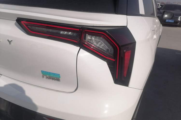 Used Geometry E Firefly 2022 320KM Cute Tiger 4-Seater